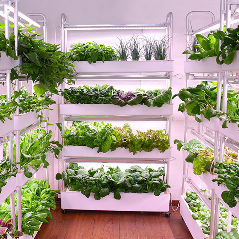 Hydroponics Growing System Ver - Hydroponic Tower Planter recension och pris