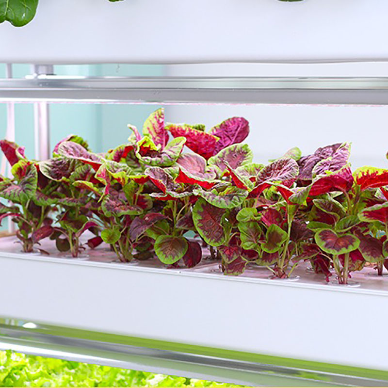 Hydroponics Growing System Ver - Hydroponic Tower Planter recension och pris