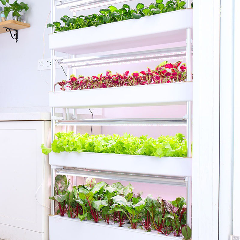Hydroponics Growing System Ver - Hydroponic Tower Planter recension och pris