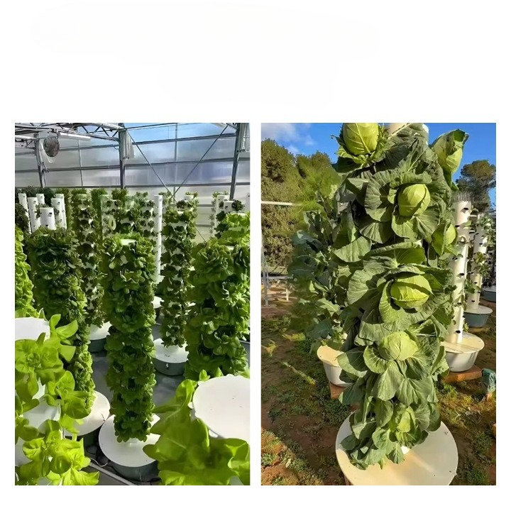 Hydroponic Tower with LED Grow - Hydroponic Tower Planter recension och pris